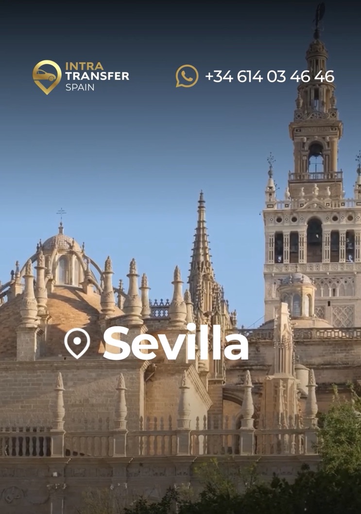 Vehículos Mercedes exclusivos